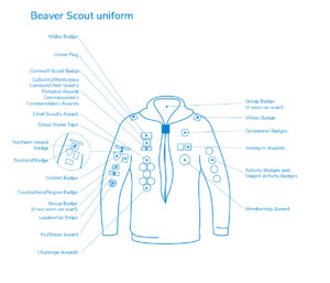 Beaver uniform and badges